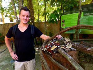 Parque des aves - Chutes d'Iguaçu