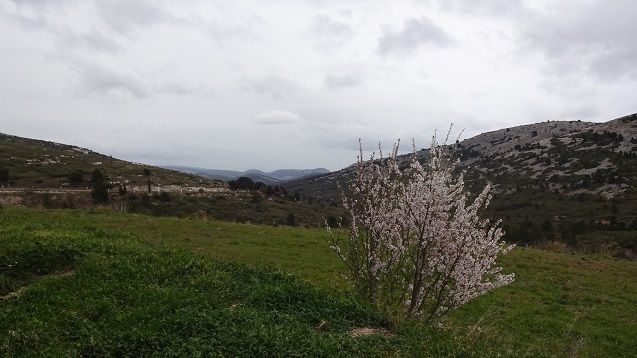 Le printemps n’est pas loin !