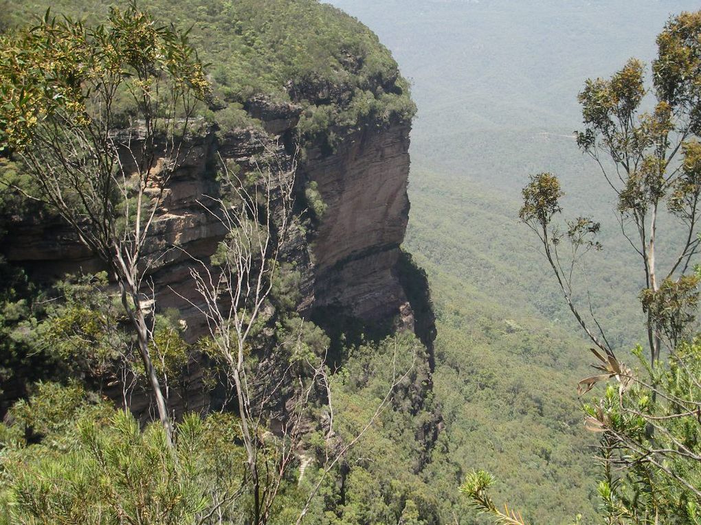 Album - The-Ultimate-Oz-Experience---Sydney + Blue Mountains