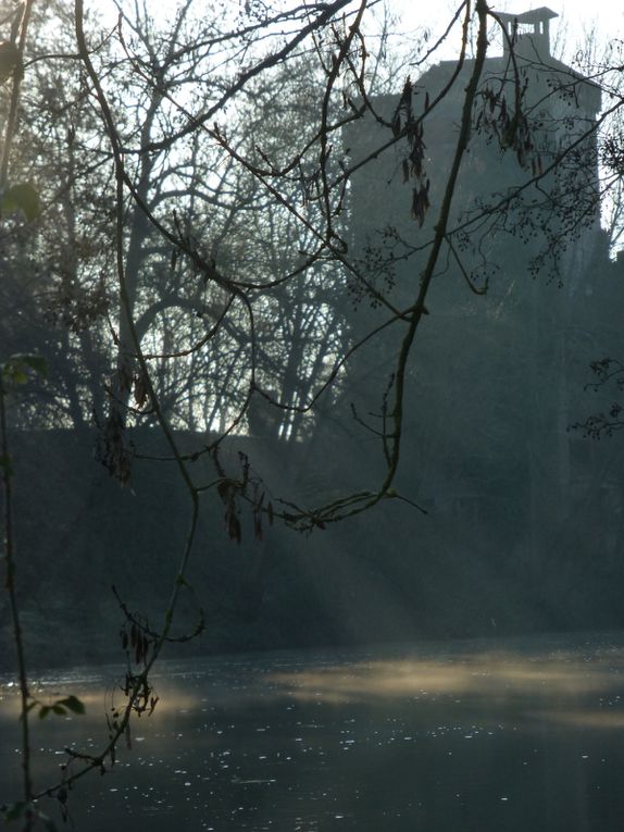 Album - bords-de-Sarthe