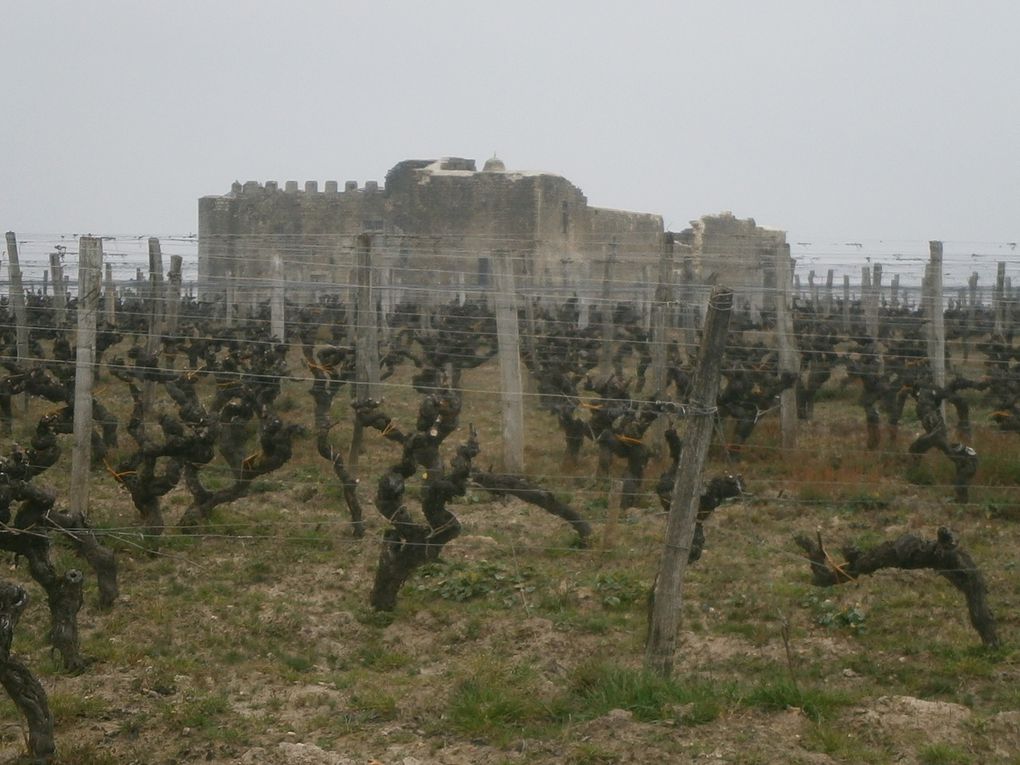 Album - 1ere-balade-en-Medoc-2014 et sortie de Bommes