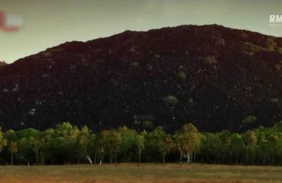 Black Mountain, Australie