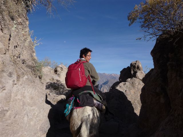 Dernier pays de notre TDM, le Pérou est surprenant. Arequipa et le canyon de Colca, les superbes paysages du lac Titicaca. Cuzco et l'invraisemblable Machu Picchu. Les mysterieuses lignes de Nazca et les iles Ballestras.  Lima et de bons moments ave