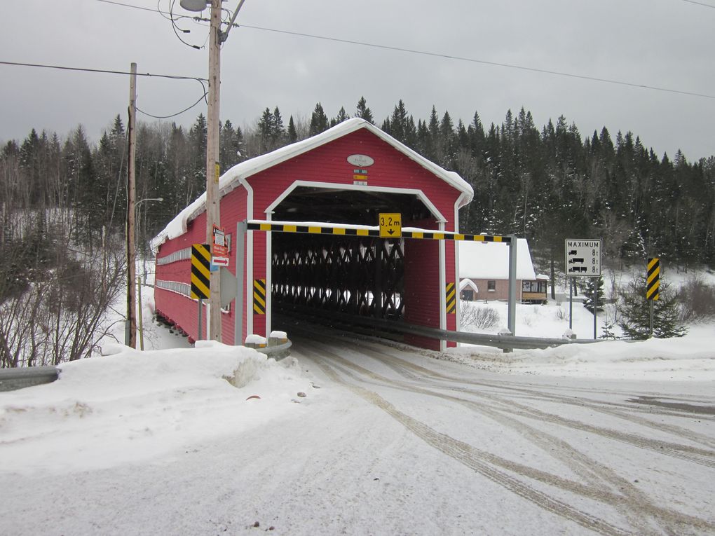 Album - 12-03 Lac-Saint-Jean-Traineau-a-chiens-fev-2012