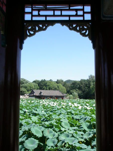 La première partie des photos montrent le magnifique parc impérial de Chengde avec son ancien palais d'été. La seconde partie des photos est consacrée aux temples lamaïques, situés tout près du parc, en fait. Ils sont immenses, je n'ai donc p