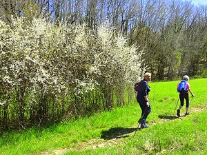 Lacapelle le 5 avril 