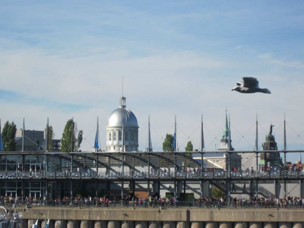 Album - Port-de-Montreal-18-Septembre-2010