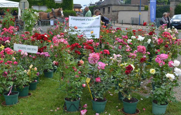 Suite photos fête du printemps aux Andelys