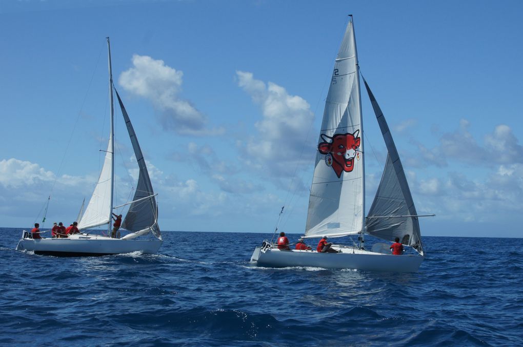 Album - Trophée-Open-Voile-de-St-Francois-2011