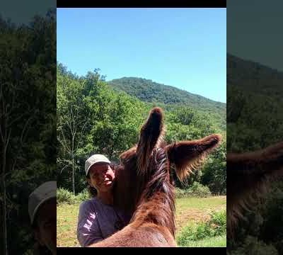 Rêve de Dan'A - Vivre l'aléa climatique avec Lina