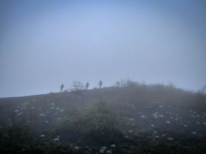 Une Journée d'Amour et de Guerre ... 16 Novembre 2018