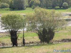 Lac du temple (Voyages en camping-car)