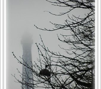 Paris tout gris // Paris in grey