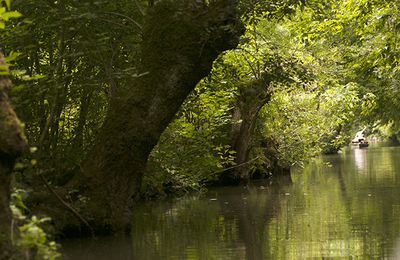 Un p'tit tour au bord de l'eau