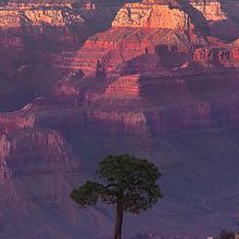 Grand Canyon Nationa