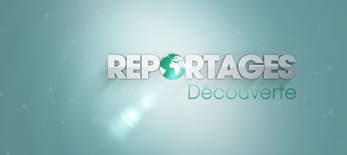 Une année en Aubrac dans Reportages découverte sur TF1 