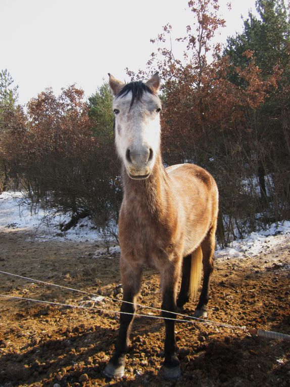 une balade un jour de fevrier 2012 en provence