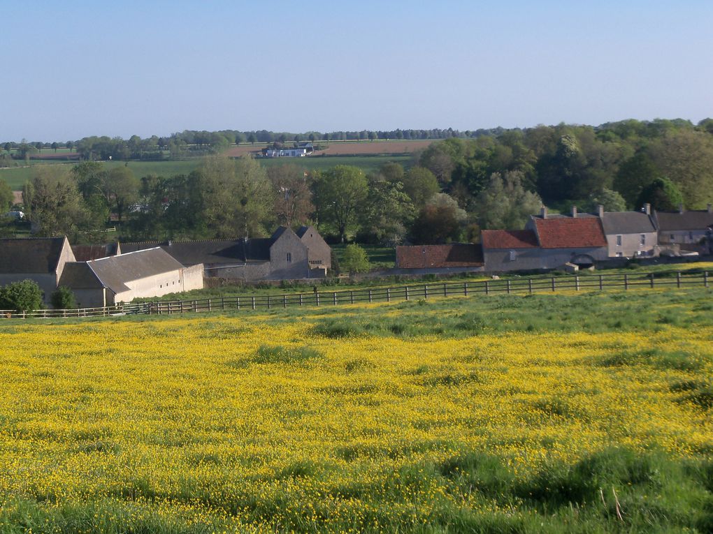 Album - le-printemps-chez-moi