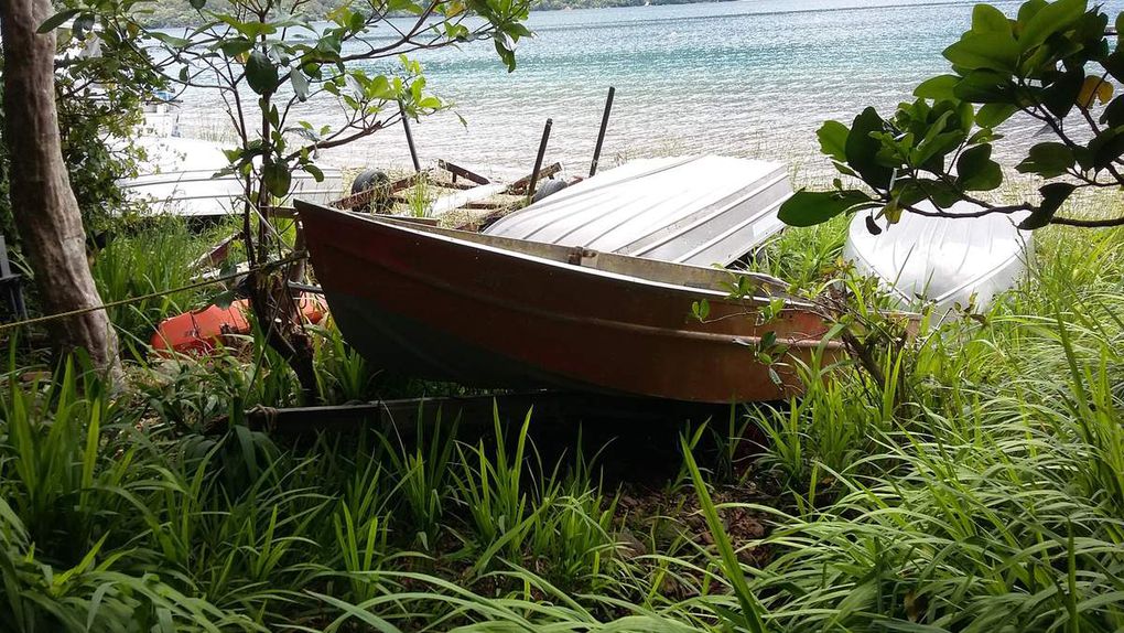 Queen charlotte track