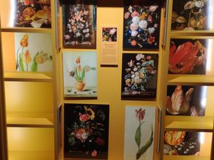 Musée de la tulipe