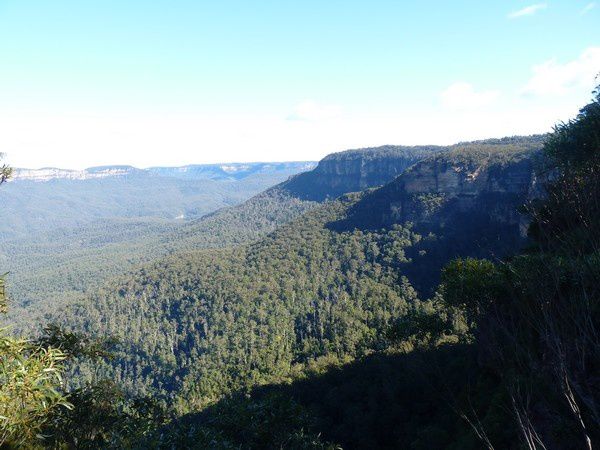 Album - Blue Mountains