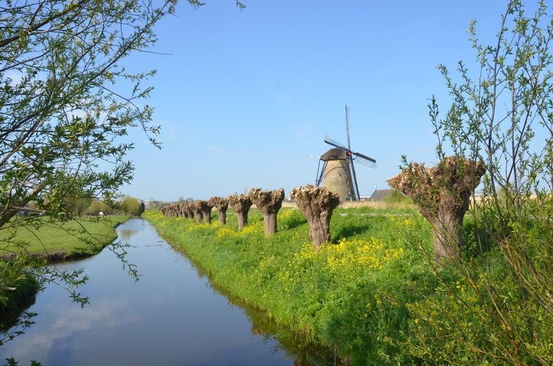 Les 19 moulins à vent de Kinderdijk sont inscrits sur la liste du patrimoine mondial de l’UNESCO .TSD,1/5/2013