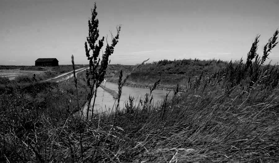 Album - Les Marais-salants de Guerande en noir et blanc