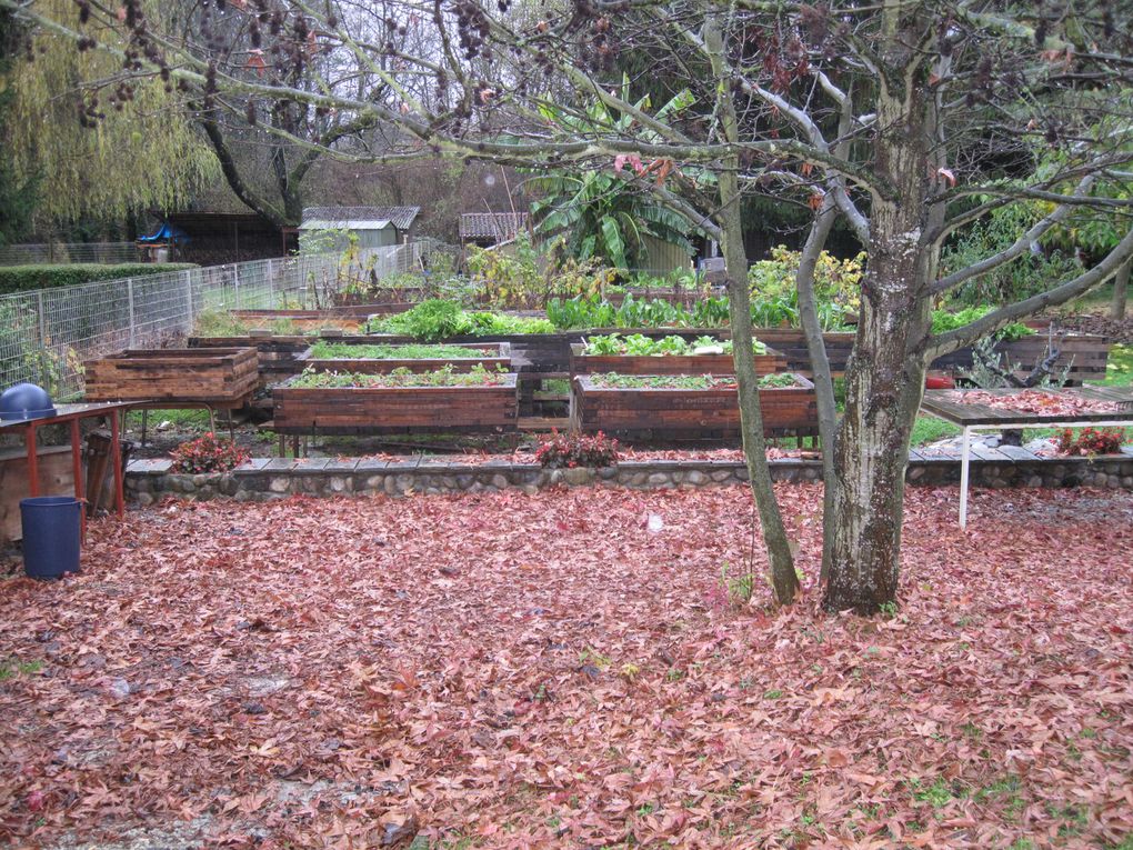 à Moirans, un jardinier qui ne peut plus se pencher a fabriqué ses tables de cultures avec des matériaux de récupération