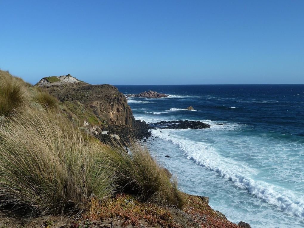 Album - Phillip-Island