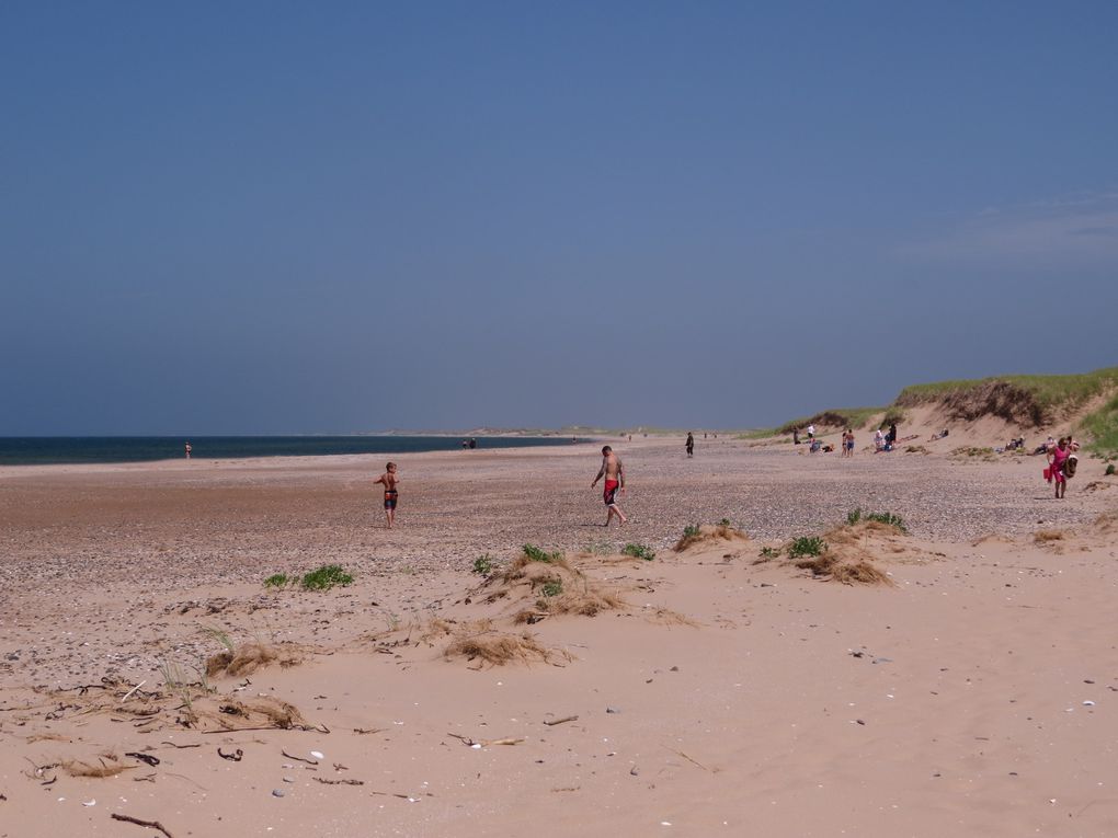 TROIS APRÈS-MIDI À LA PLAGE , DE MAGNIFIQUE PLAGES ......