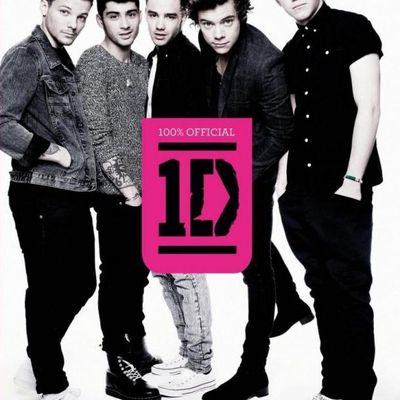 One Direction:"Where We Are",the cover of they new book!!!!!!