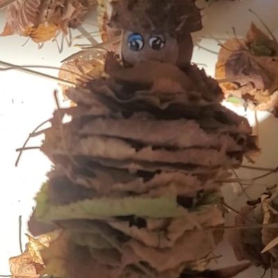 Classe dehors : le bonhomme dans la nature avec des feuilles, des marrons et des bogues