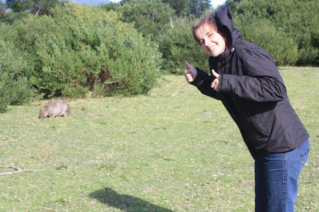 Bienvenue au pays des kangourous!!