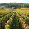 Route des vins en pays de Bourgogne ...