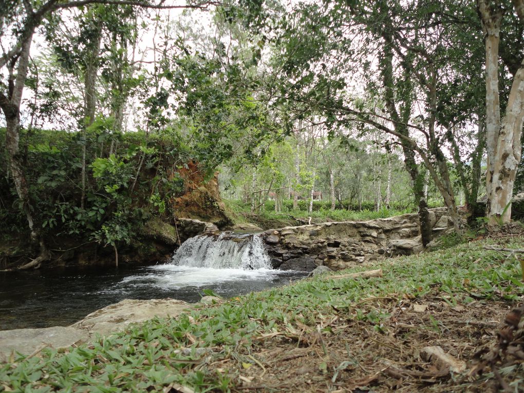 5 jours de vacances? quoi de mieux que de profiter de l'hospitalité de mon ami Zina aka Alex afin de se poser un peu puis de se ressourcer l'esprit au milieu d'une communauté Hare Krishna installée là-haut dans les montagnes de Taubaté.