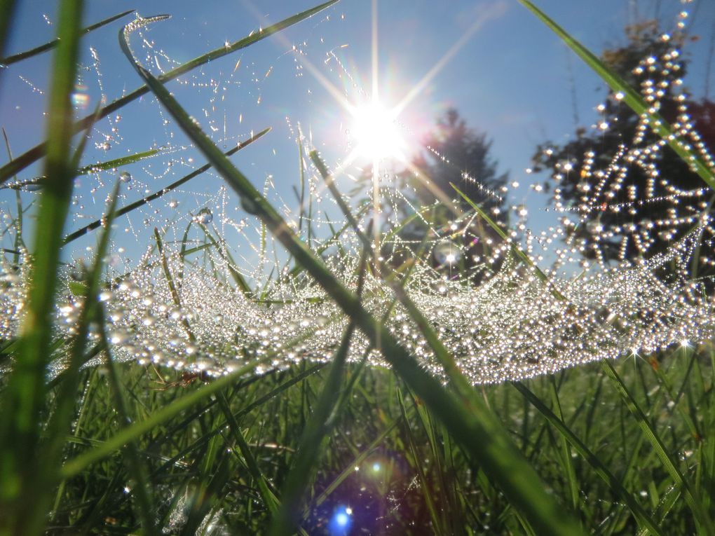 quelques gouttes pour le plaisir...à consommer sans modération...