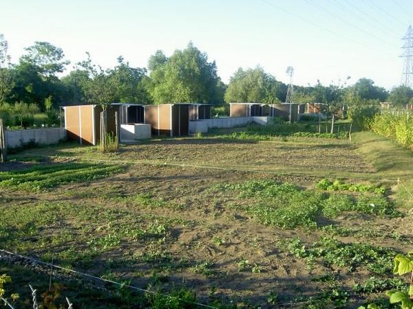 Des jardins familiaux, potagers privatifs accessibles aux habitants de la commune. Chacun dispose de son lopin de terre, d'une cabane &agrave; outils et d'une r&eacute;serve d'eau. L'eau provient de la r&eacute;serve, r&eacute;sultat de la filtration de l'eau de la seine.