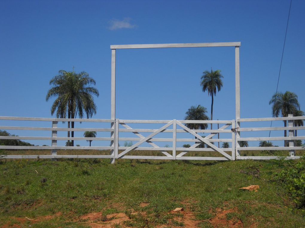 Album - Paraguay--Le-meconnu-pays-Guarani