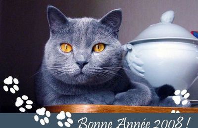 Bonne Année 2008 !!