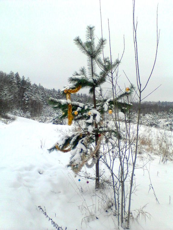 Pirmoji Kaledu Diena - Christmas Day - Первый День Рождества