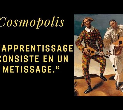 Le Tiers-Instruit de Michel Serres : épisode 1 : en quoi consiste l'apprentissage ? 