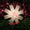 Fleur de Noel et étoiles en carton