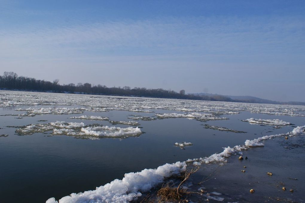 10 Février 2012, la Loire aux Ponts de Cé, Saint-Mathurin sur Loire et la Bohalle.