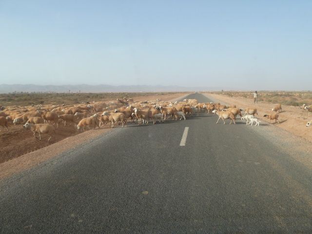 GUELMIM dans le sud Ouest Marocain en suivant le littoral atlantique