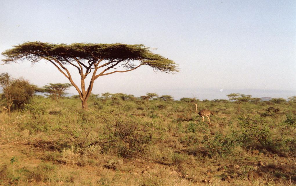 Mon voyage au Kenya en avril 1992