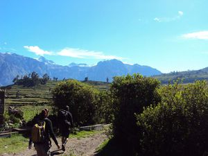 Le canyon de Colca et ses spectacles grandeurs nature