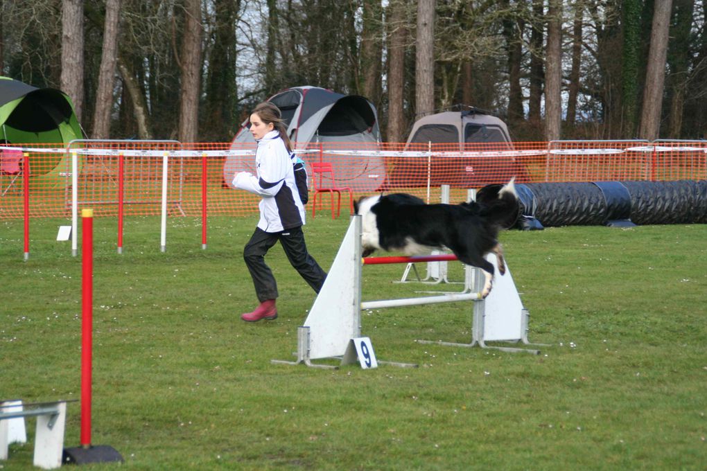 Album - 12-Concours-Agility-La-Martyre-10-03-2013-2