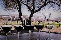 #Pinot Noir Producers Napa Valley Vineyards California page 5
