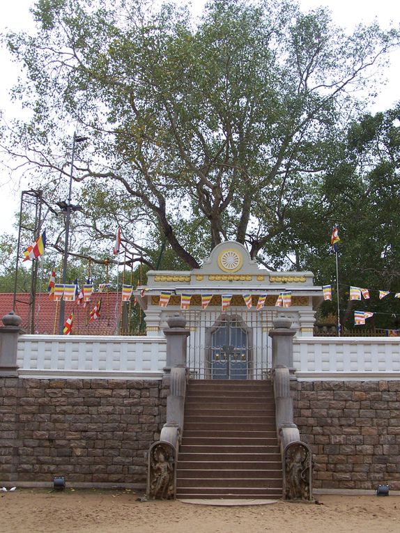 Anuradapurah