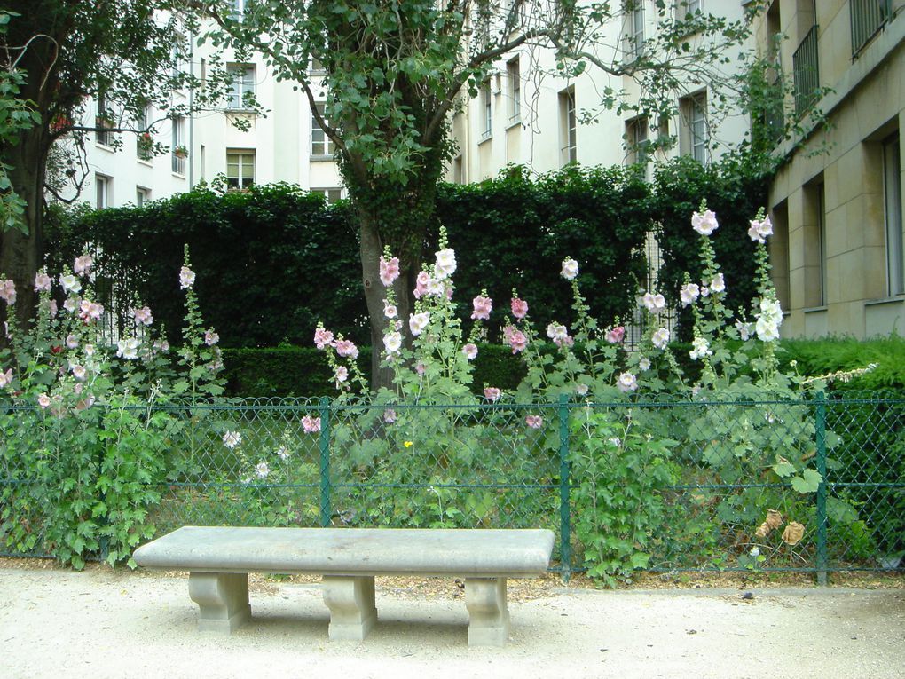 Promenade, visite de l'hôtel des Archevèques de sens, du village Saint Paul,de l'église Saint Paul,de l'ancienne église Saint Paul,  des jardins de l'hôtel de Sully, et place des Vosges, pot à la brasserie "Bourguigon"